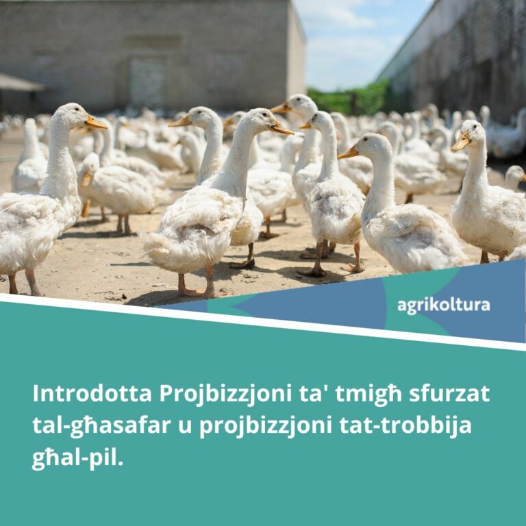 Prohibition of force feeding of a bird and prohibition of fur farming